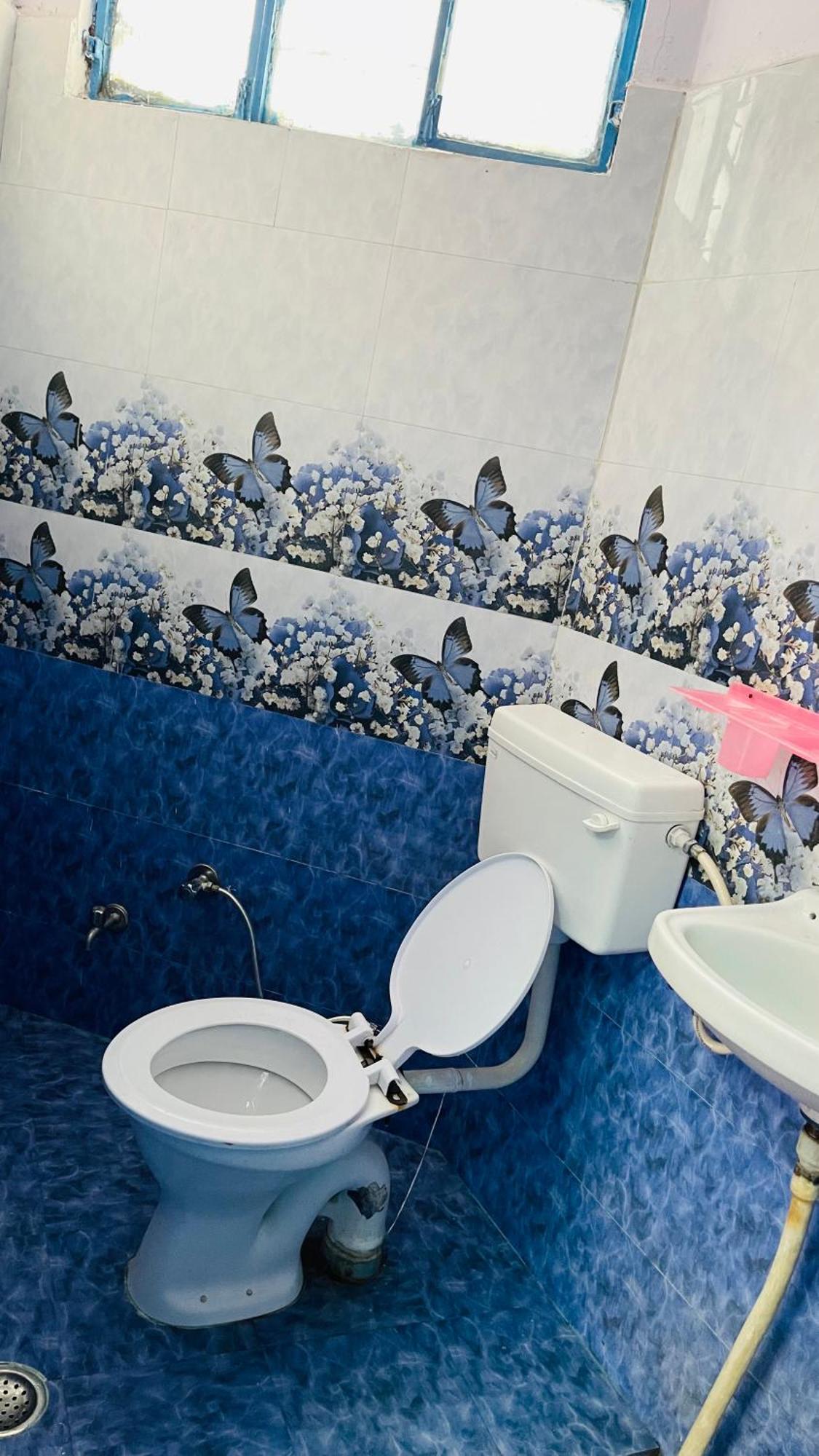 פושקאר Mayur Guest House מראה חיצוני תמונה