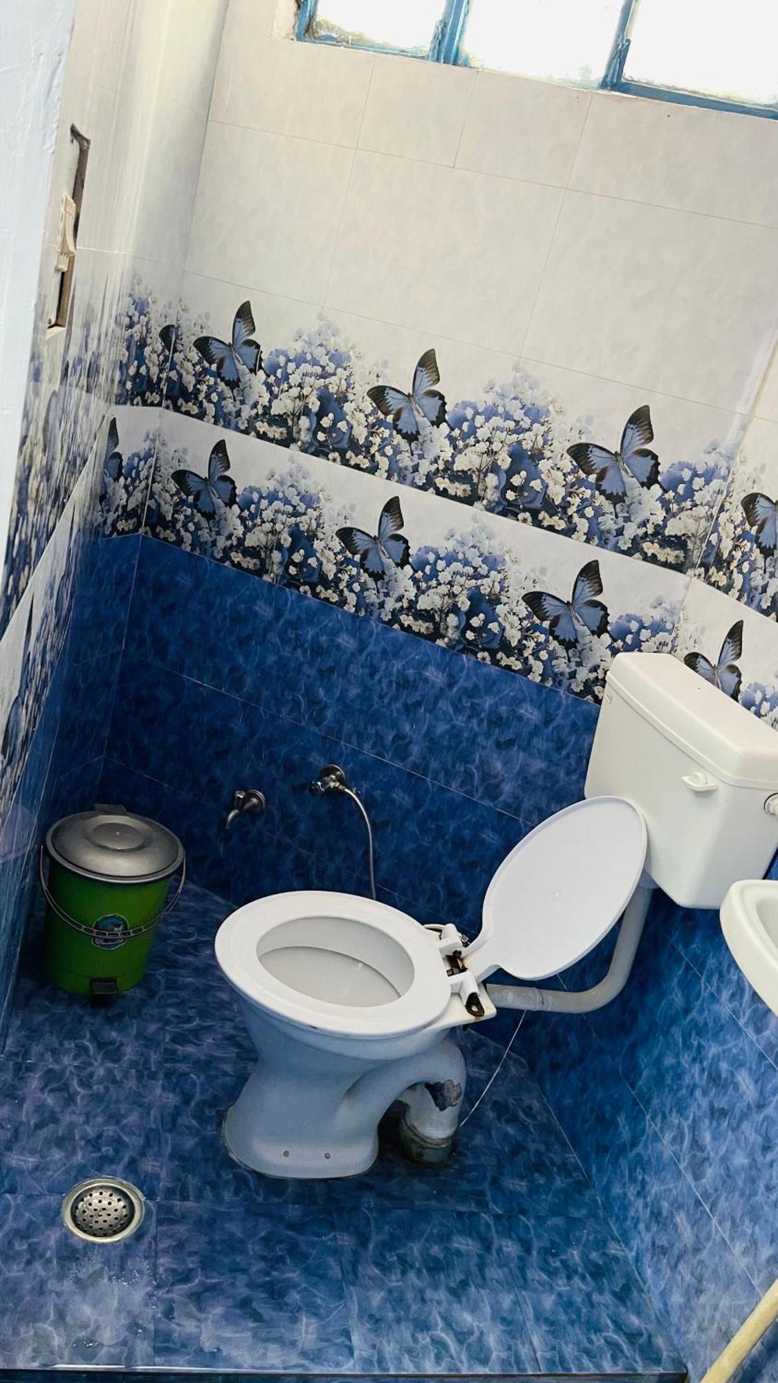 פושקאר Mayur Guest House מראה חיצוני תמונה